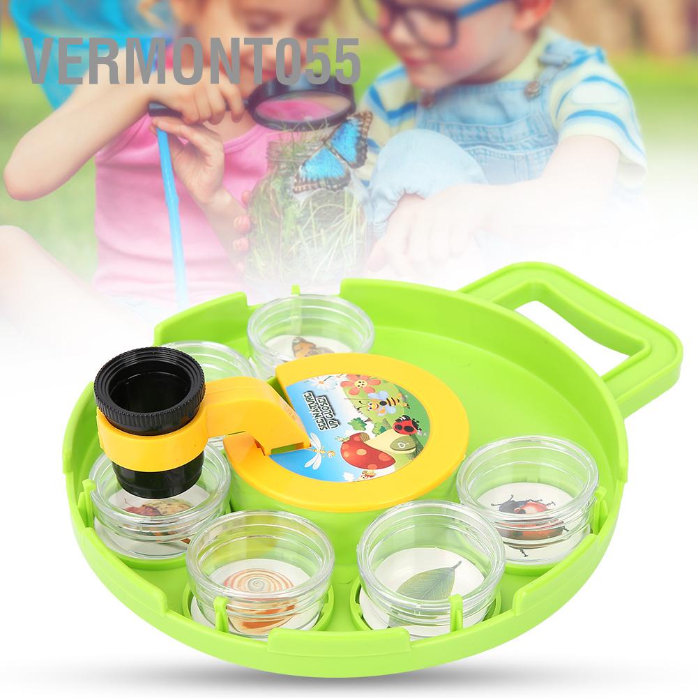 Có thể bán buôn Khoa học ngoài trời Chụp côn trùng Quan sát Hộp kính lúp Xem hộp đựng Vermont055  Hàng giao ngay