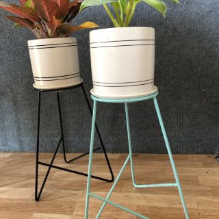 kệ để cây cảnh ✨ PHONG CÁCH ÂU MỸ ✨  SƠN TĨNH ĐIỆN , SANG TRỌNG cho nội thất hiện đại