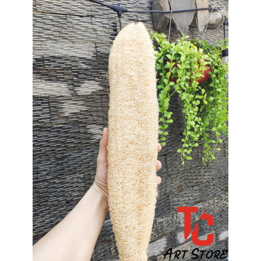 Xơ Mướp Tự Nhiên