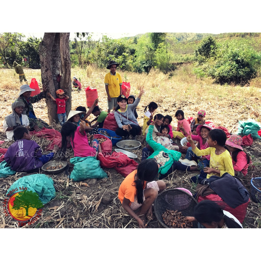 [Mã 2712FMCGSALE giảm 8% đơn 500K] GỪNG NGHỆ HẠT GẤC HẠ THỔ (TOÀN THÂN) | BigBuy360 - bigbuy360.vn