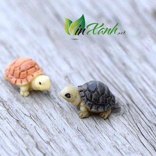 Phụ kiện con rùa núi-trang trí tiểu cảnh, hồ cá, terrarium