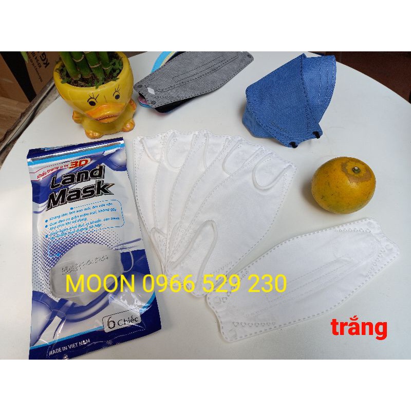 Khẩu trang  3D LANDMASK cao cấp VX