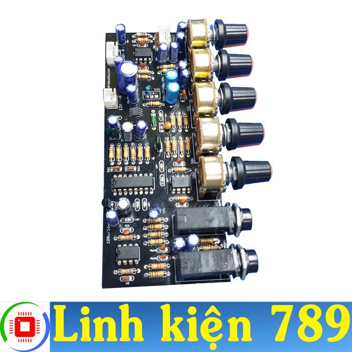 Mạch micro karaoke 12v đơn V2.1 - Linh kiện 789