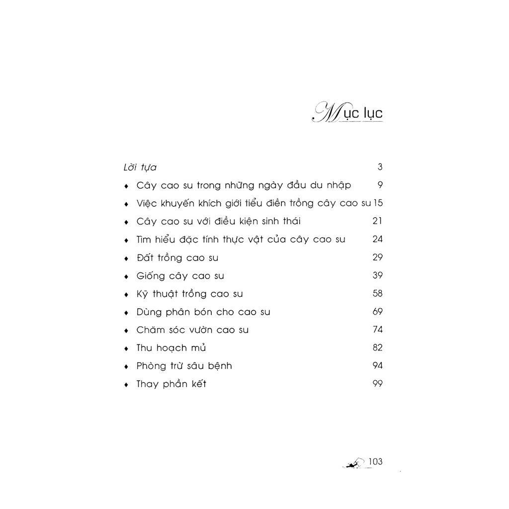Sách - Kỹ Thuật Trồng Cây Cao Su Với Diện Tích Nhỏ