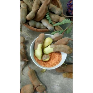 Me Dốt Bột Thái Lan