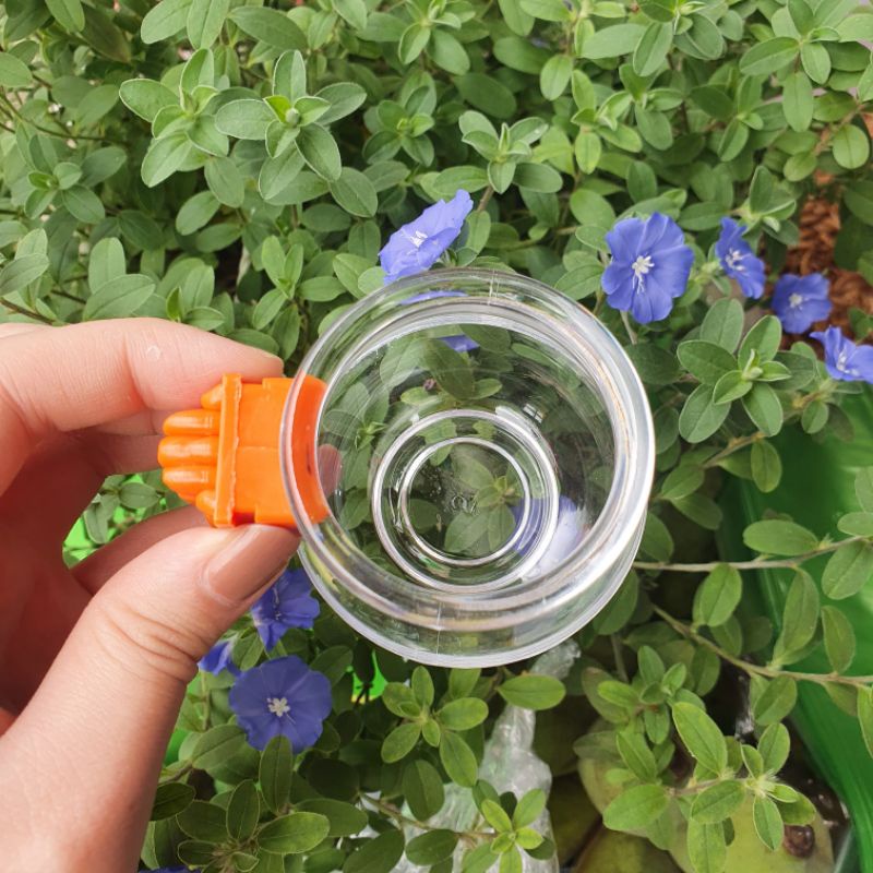 Cóng nhựa quai cam đựng thức ăn, nước uống chim cảnh dành cho mọi loại chim