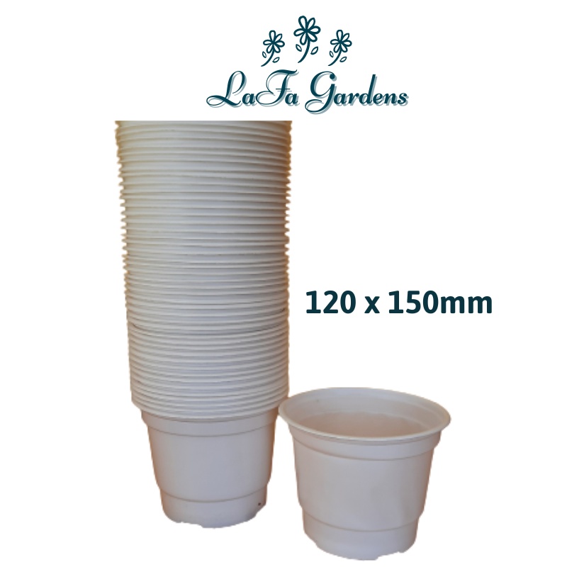 Chậu trồng sen đá, ươm giống cây trồng kích thước (120x150mm) 1 bao 300 cái