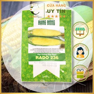 Hạt giống Bắp (Ngô) Ngọt Mỹ Rado 236 Ngon Ngọt, Dễ Trồng 5gr