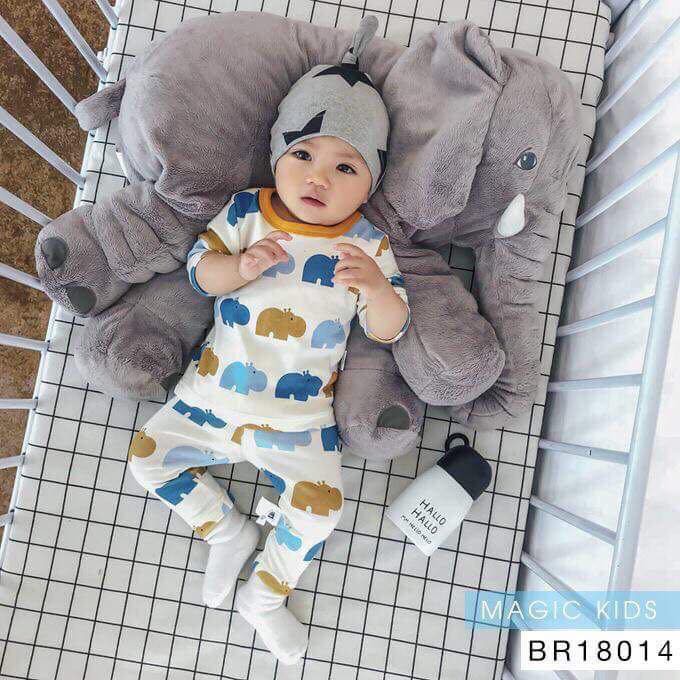 BỘ HÀ MÃ COTTON LEN CAO CẤP