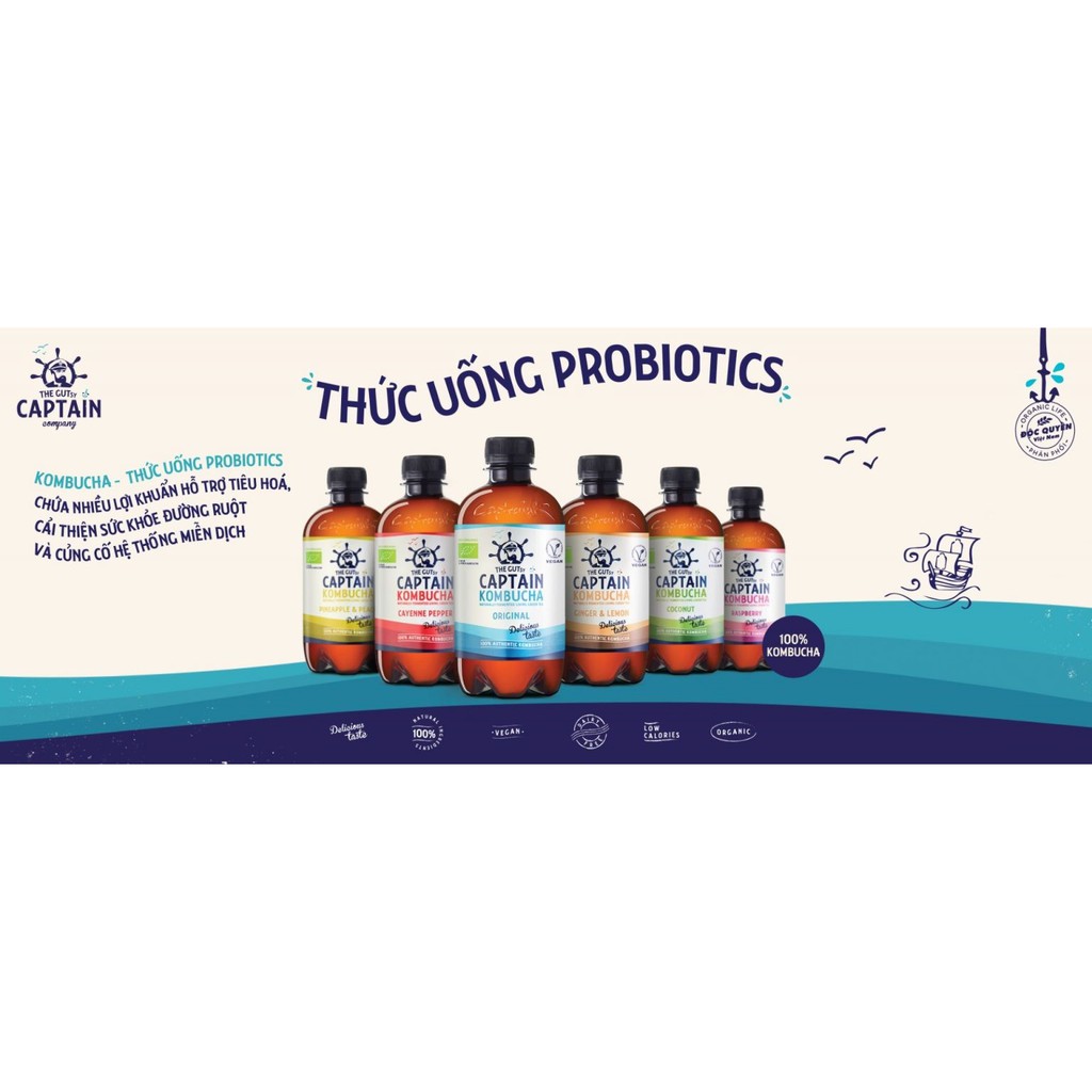 Trà Kombucha hữu cơ (Organic Kombucha Tea) - THE GUTsy CAPTAIN - 400ml