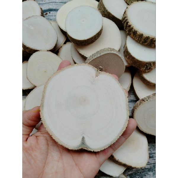 100 lát gỗ trơn Decor 3-4cm