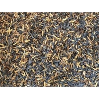 Trấu Hun dở tải to