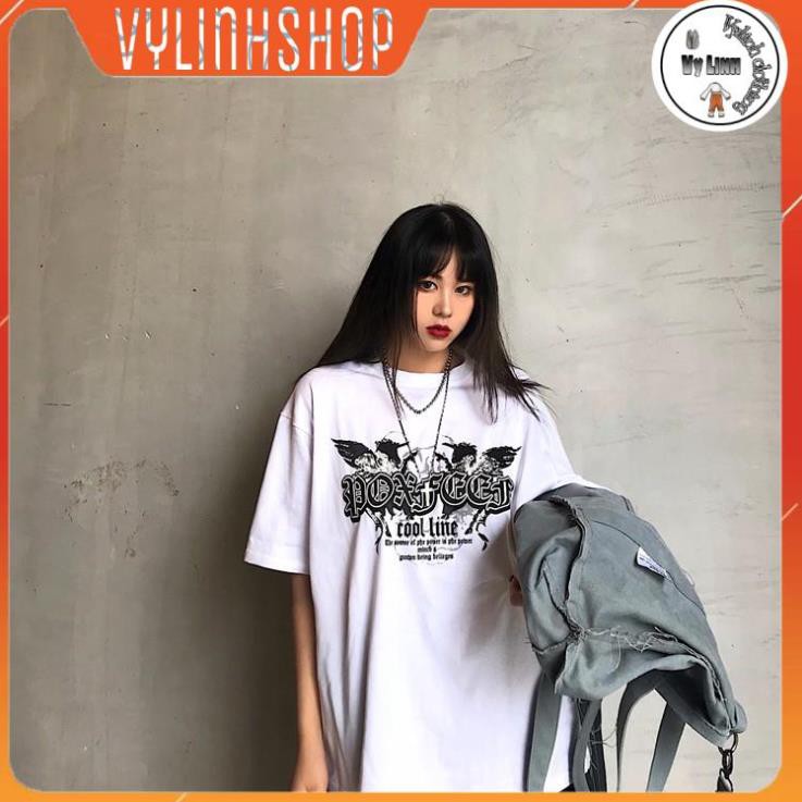 Áo thun form rộng unisex 🔥FREESHIP🔥áo phông tay lỡ in hình 2 chú ngựa