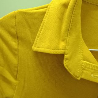 Áo thun thái body cổ bẻ