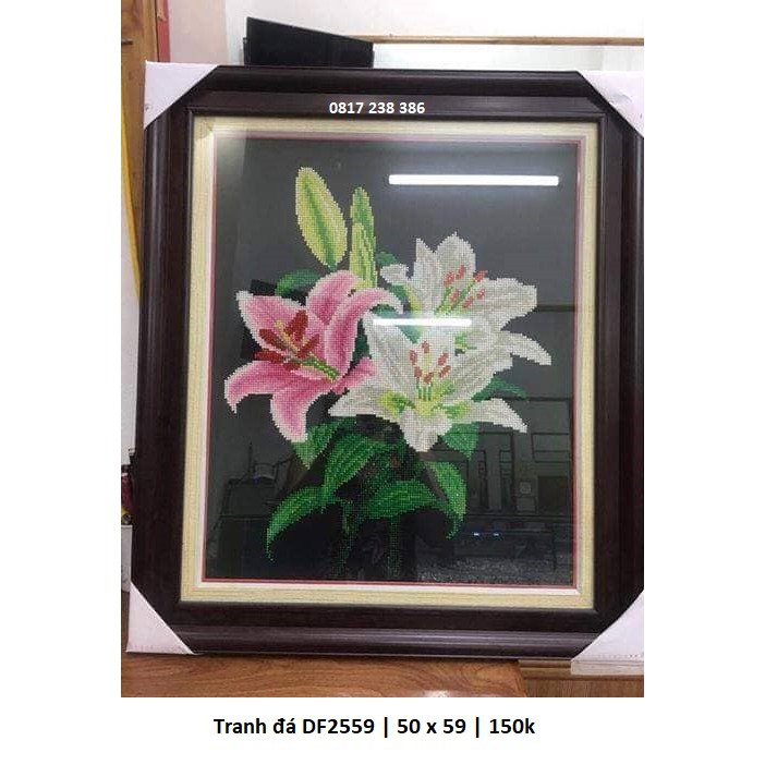 Tranh đính đá hoa li DF2559 (KT: 50 x 59 cm)