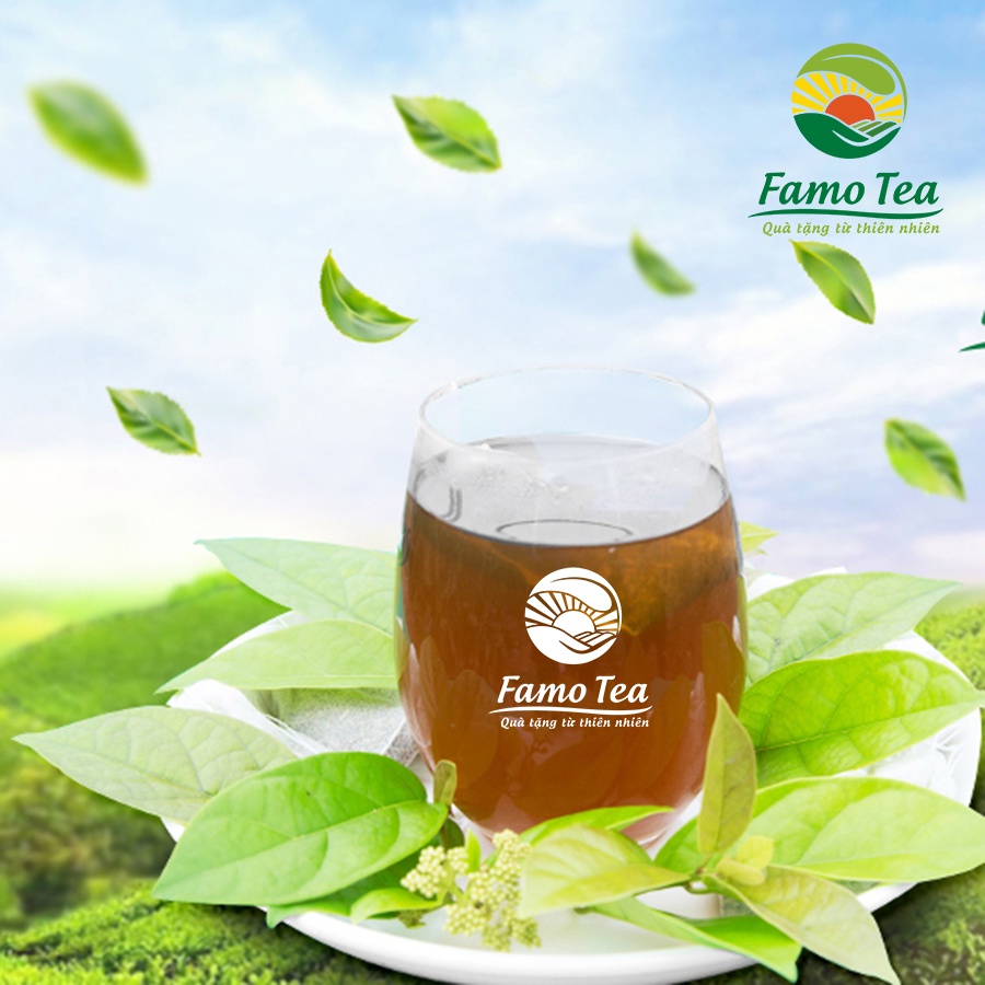 Trà Thảo mộc Xạ Đen FamoTea túi lọc (Hỗ trợ Gan,Giảm men gan,Giảm Mỡ trong Gan,Thải độc,phòng ngừa các bệnh về Gan)