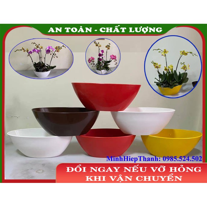 Chậu nhựa hình thuyền trồng lan hồ điệp, trồng cây, trồng hoa