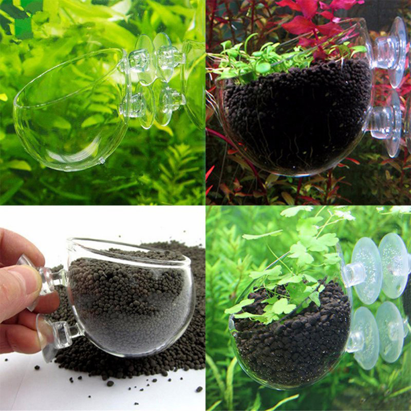 Cốc Hút Trồng Cây Thủy Sinh Kèm 3 Móc Treo Tiện Lợi