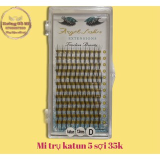 Mi trụ katun