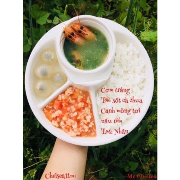 Khay ăn tròn 3 ngăn và 4 ngăn có chỗ để cốc cho bé