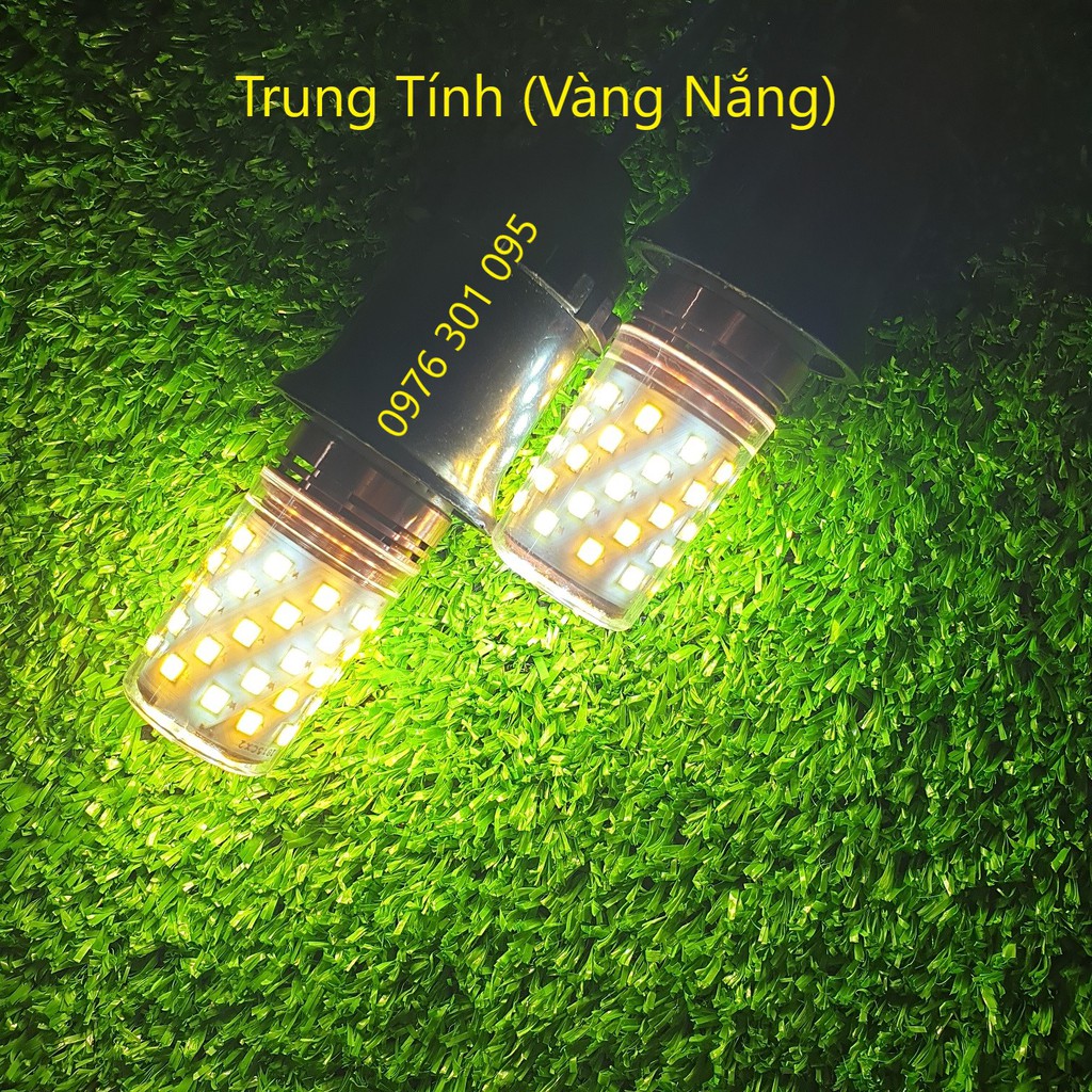 Bóng Led Bắp Trang Trí 3 Chế Độ Màu (12w)