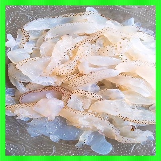Sứa biển 1kg
