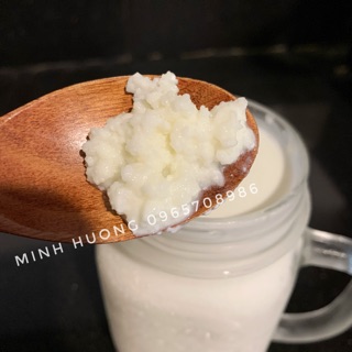 Nấm sữa Kefir làm sữa chua Kefir(100% thành công)