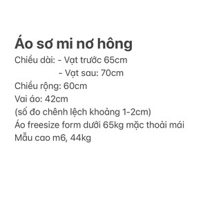 Sơmi lụa buộc nơ CICISTUDIO