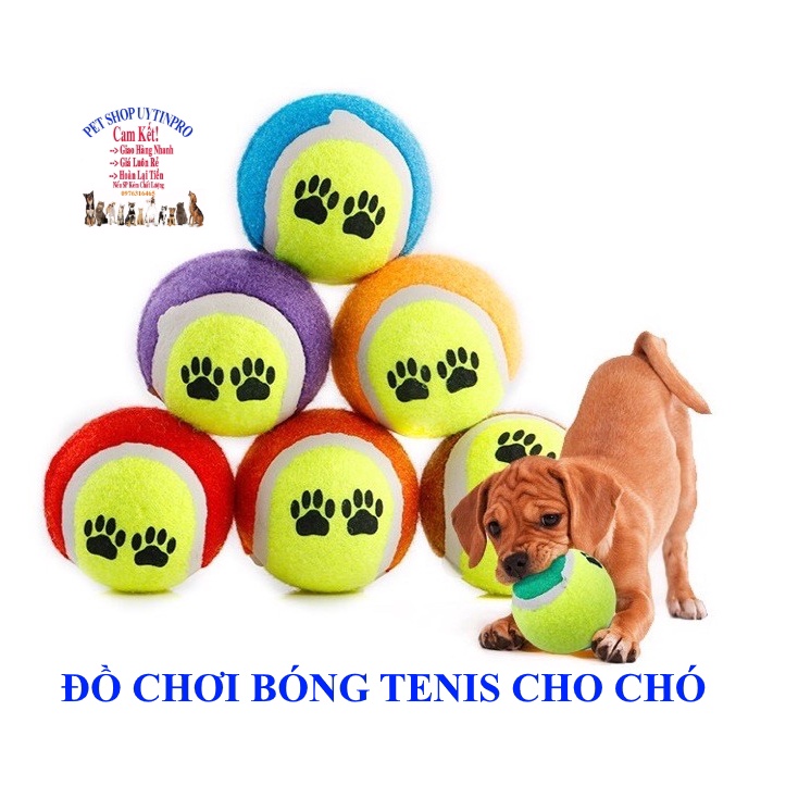 Đồ chơi bóng tenis cho Chó In hình bàn chân Chất liệu cao su bền chắc Kích thước 6cm Giúp thú cưng thư giãn Giảm Stress