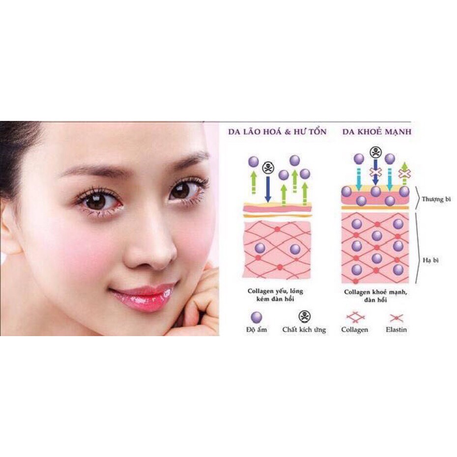 Collagen Nguyên Chất - Italya