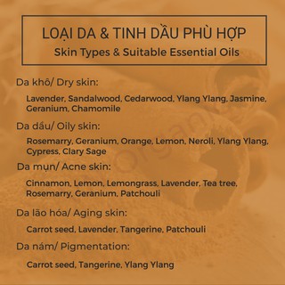 Tinh Dầu Vỏ Quế - Cinnamon Essential Oil