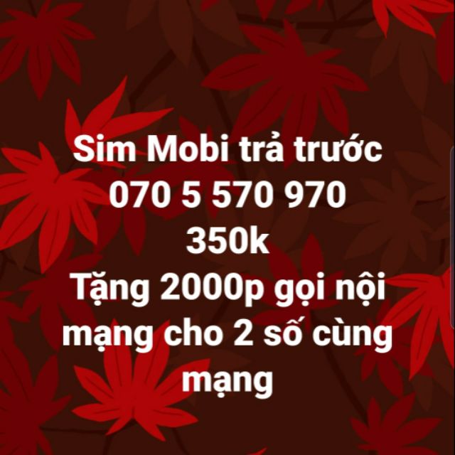 Sim số đẹp Mobi 3 khía