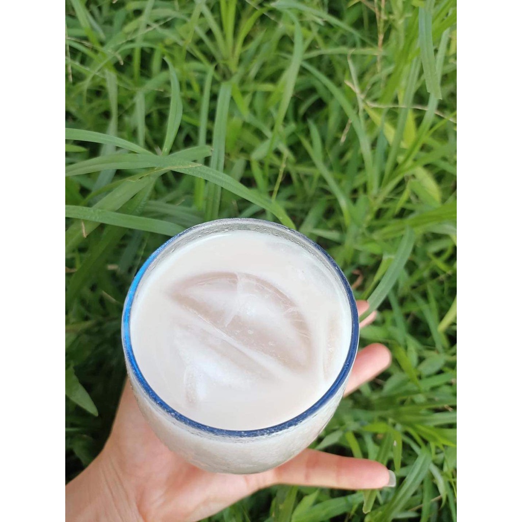 S𝐮̛̃𝐚 𝐠𝐚̣𝐨 𝐲𝐞̂́𝐧 𝐦𝐚̣𝐜𝐡 𝐎𝐊𝐅 𝟏𝟓𝟎𝟎ml Hàn Quốc 45K/chai