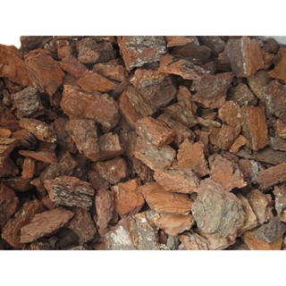 1kg VỎ THÔNG TRỒNG LAN