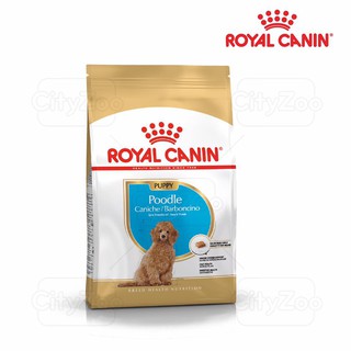 THỨC ĂN ROYAL CANIN JUNIOR DÀNH CHO POODLE GÓI 1,5KG