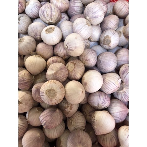1 Kg Tỏi Cô Đơn Loại Củ To Ngon Không Bị Hư