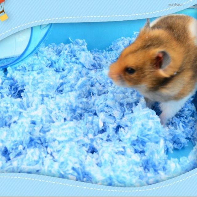 Giấy lót chuồng cho hamster xanh hoặc tím (100g-500g)