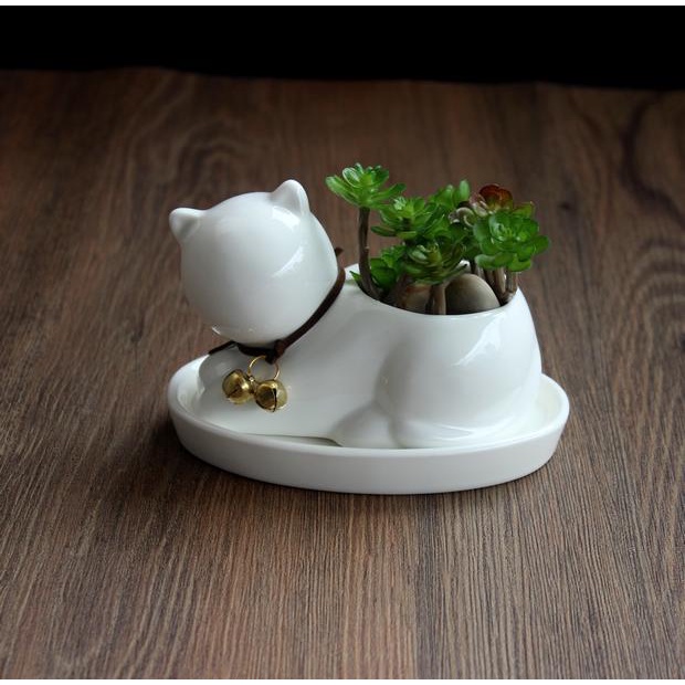 Chậu Trồng Cây Sen Đá, Xương Rồng Hình Mèo Sứ Cao Cấp Có Đế Lỗ Thoát Nước