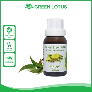 Tinh Dầu Khuynh Diệp Aroma Nguyên Chất Nguồn Gốc Tự Nhiên - Eucalyptus Essential Oil GL07- Sen Xanh Store