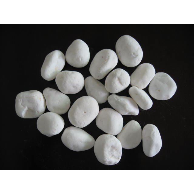 Sỏi trắng trang trí bể cá cảnh , hồ thủy sinh, rải gốc cây ( gói 500g)
