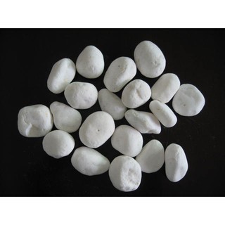 Sỏi trắng trang trí bể cá cảnh , hồ thủy sinh, rải gốc cây ( gói 500g)