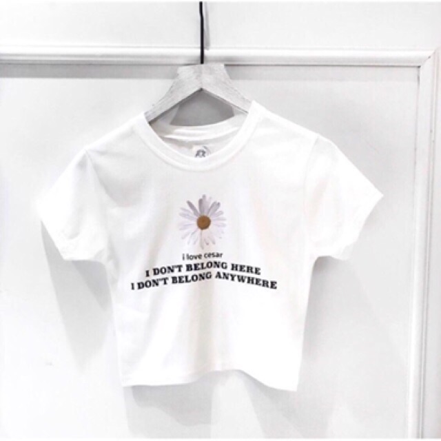 Áo croptop ôm thêu hoa cúc, hình thật 3 ảnh cuối