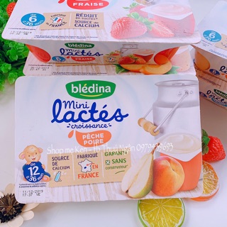 🍓SỮA CHUA BLEDINA PHÁP
