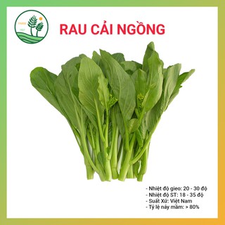 Hạt Giống Rau Cải Ngồng Cao Sản - 20gr - Thu Hoạch Sau 30 Ngày