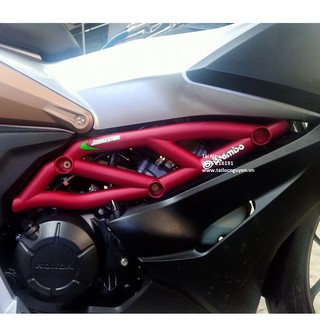 Ốp lốc máy ducati cho winner x