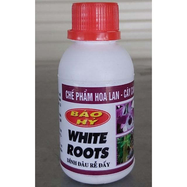 WHITE ROOT - SIÊU KÍCH RỄ BÁO HỶ 100ml