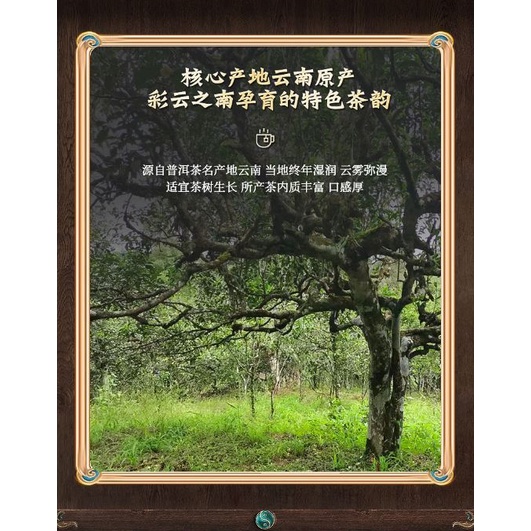 Bánh Trà Phổ Nhĩ Sống Mãnh Hải Vân Nam 357 gram (Trà Cổ Thụ Khổng Tước)