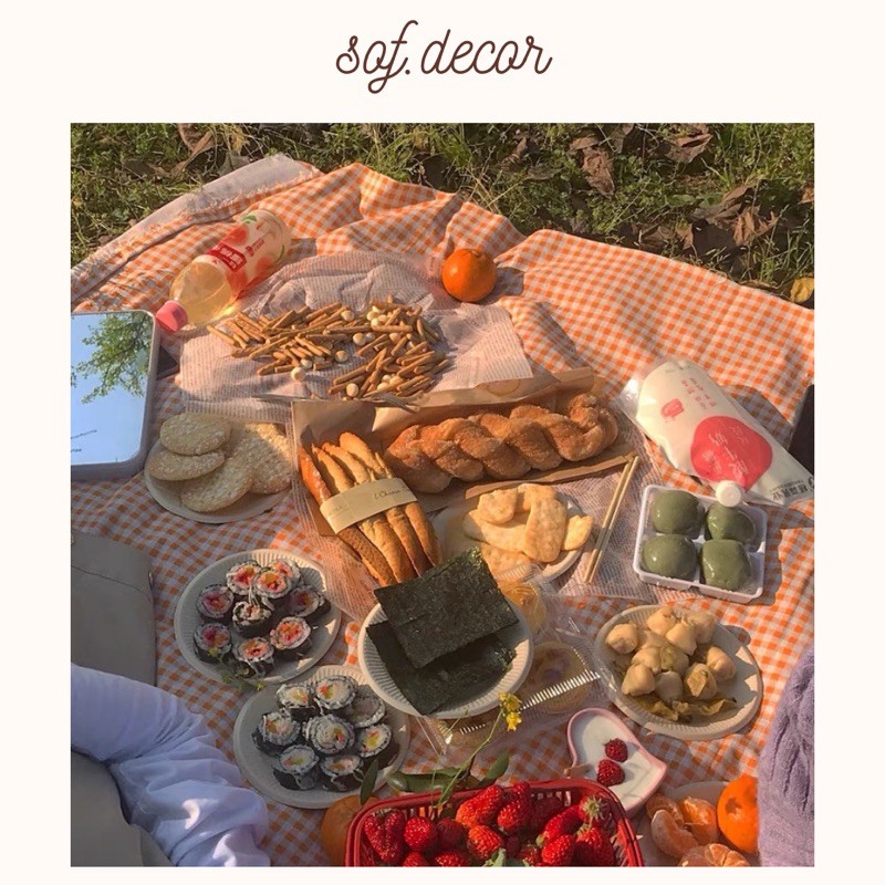 Thảm picnic dã ngoại, khăn trải bàn, vải chụp ảnh đa năng - Décor nhà Sò