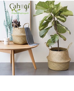 Giỏ Cói Trồng Cây Chất Lượng Cao