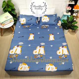 Ga gối poly cotton (nhiều mãu lựa chọn)